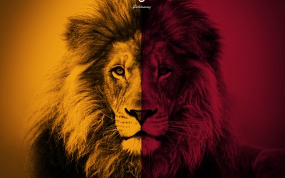 冠军体育焦点-以色列足球俱乐部青训产品闪耀欧洲