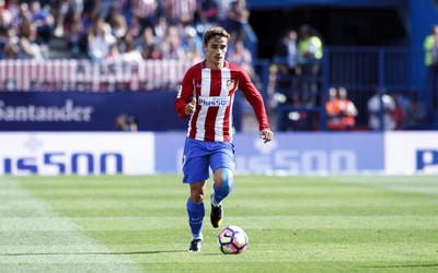 冠军体育热评-体系才是根本