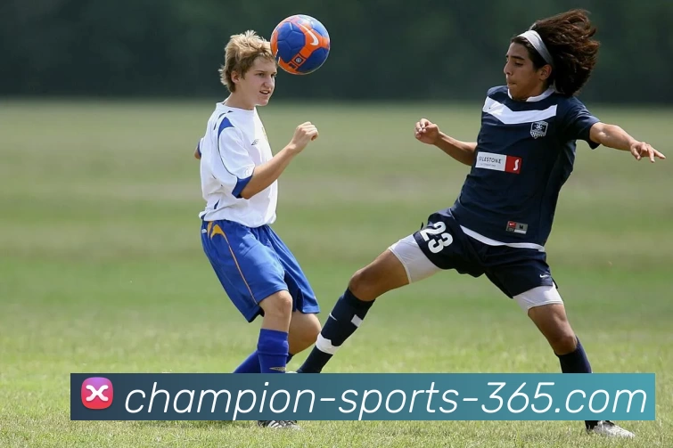 App Interface Preview